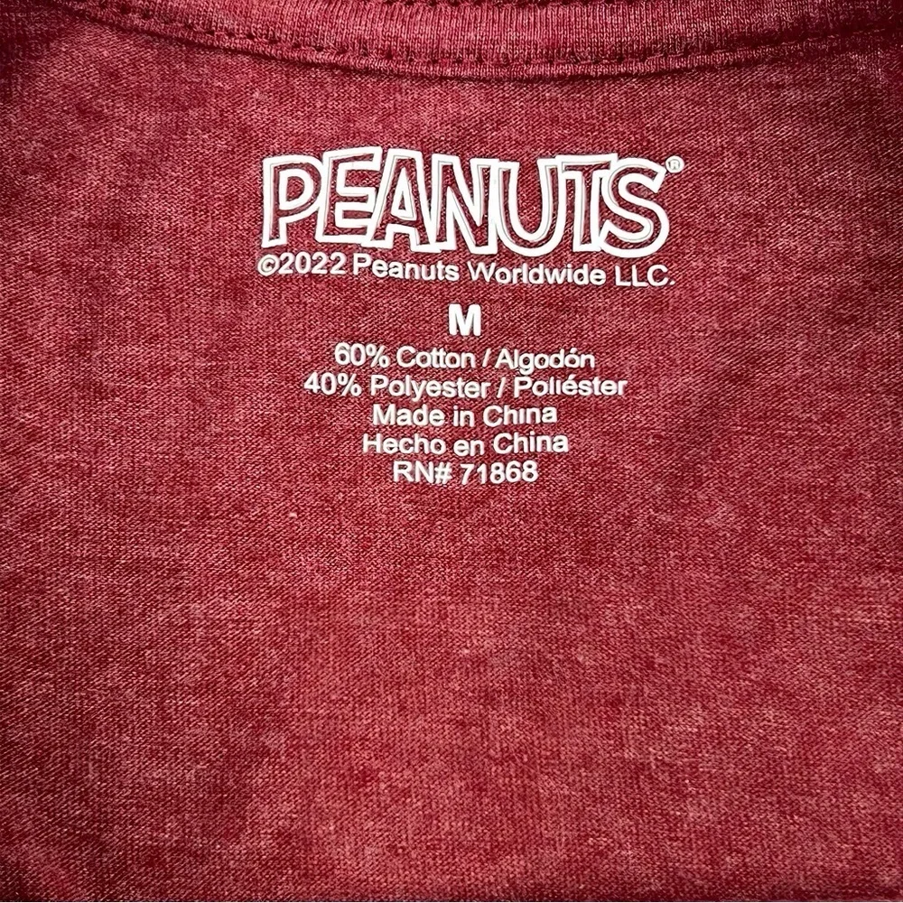 Charlie Brown Peanuts Its The Great Pumpkin Halloween Fall Pop Culture T Shirt M - Picture 4 of 4